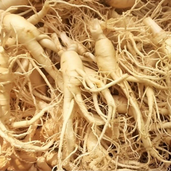 금산 세척인삼 5-6년근 못난이인삼 삼계탕인삼 15-25뿌리내외, 1개, 500g