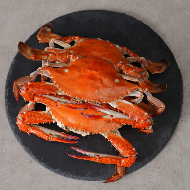 K-꽃게 어부가 직접 판매하는 급냉 봄 숫꽃게, 1개, 1kg(5미)