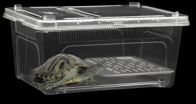 반페프 도마뱀 사육장 파충류 소형 케이지 파충류 박스 17x10.5x7.5