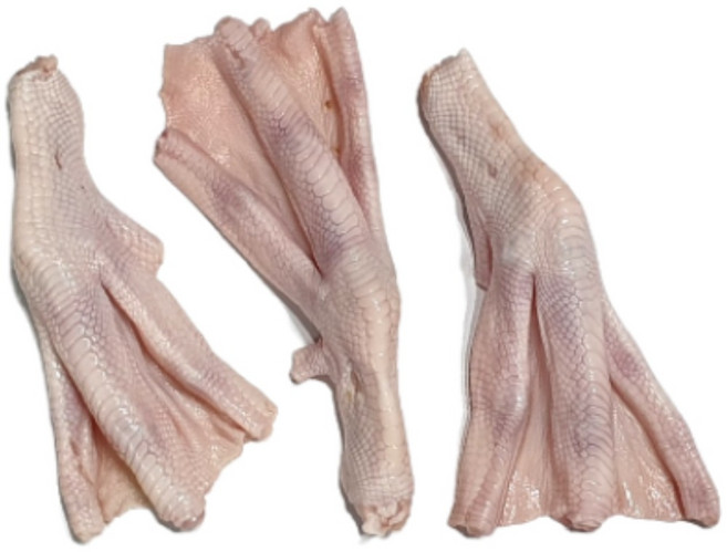 한결컴퍼니 생 오리발 1kg 냉동 손질 생오리발 오리고기 수제간식재료, 1개