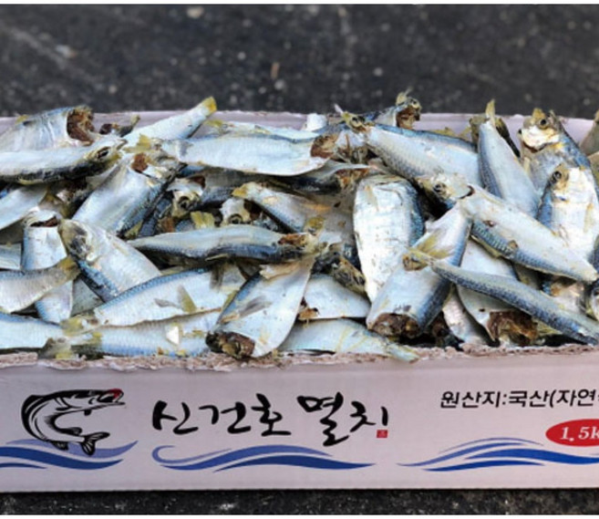 신건호멸치 육수용 국산 디포리(실속형) / 국물멸치 밴댕이, 1박스, 1.5kg