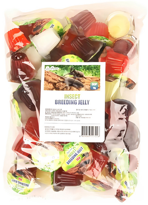 파이브오션 곤충젤리, 혼합색상, 50개