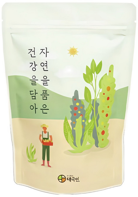 자연닮음 국산 껍질 제거한 안동 참마 마 가루 분말 500g, 1개