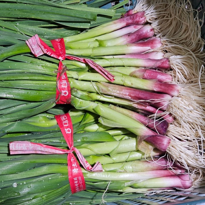 남해안 해풍맞고 자란 노지 풋마늘 1kg, 1개