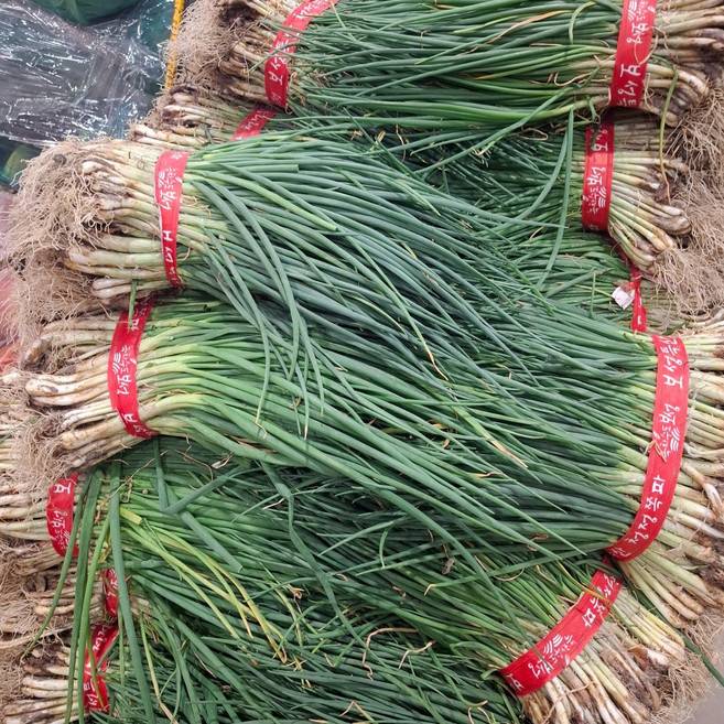 국내산 노지 흙 쪽파 1단 1.5kg내외 손질하지 않은 파 전라도 쪽파, 2개, 1.5kg