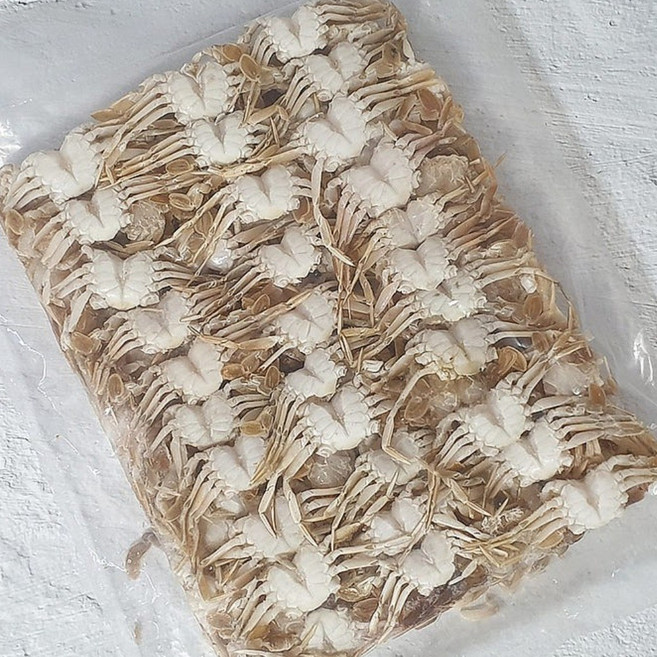 베이비크랩(미니게 칠게)(1kg), 1kg, 1개