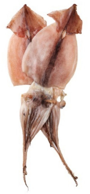 야들야들 쫄깃한 해풍에 말린 반건조 오징어 피데기 원양산 국내가공, 3개, 450g 내외5미