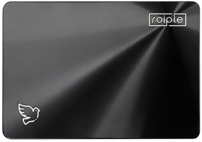 로이플 도브 SSD SATA SSD, 128GB