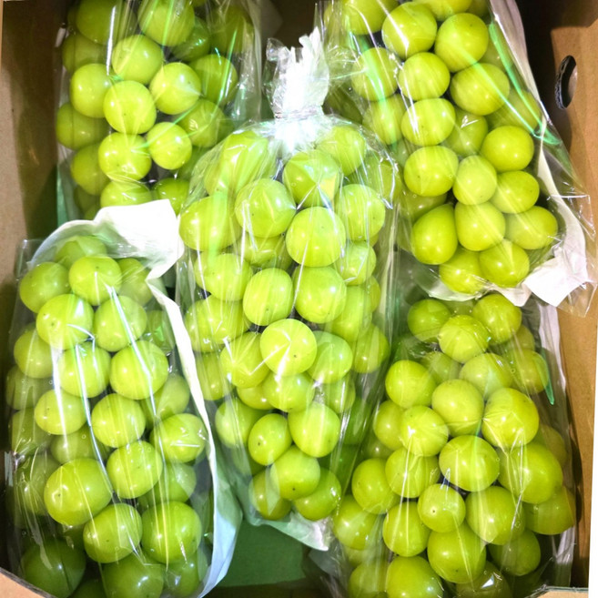18brix 고당도선별 샤인머스켓 산지직송, 1개, 4kg (4~5수), 프리미엄