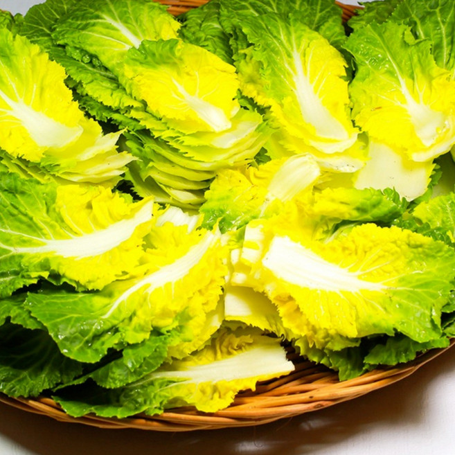 [굿피플] 봄동 봄동배추 봄동겉절이 쌈배추봄동 진도봄동 봄똥 알배기 [봄동], 1박스, 1kg