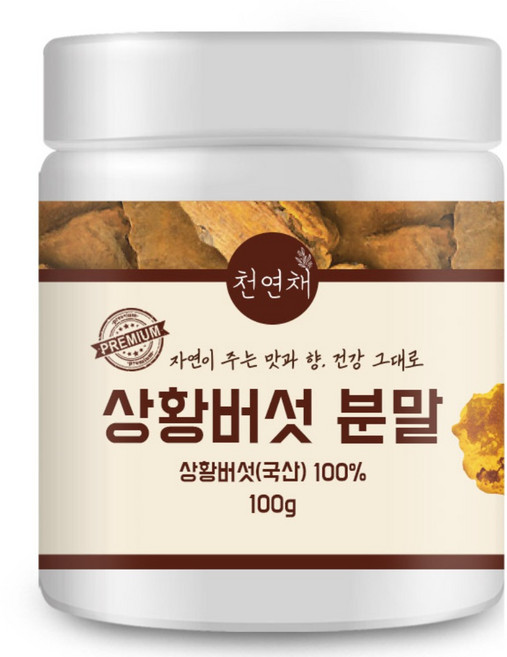 천연채 국산 상황버섯 분말 가루 무첨가 원물 건강차 활력관리, 1개, 100g