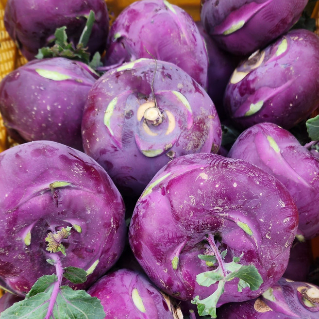 <제주빛가람> 제주산 프리미엄 특품 콜리브리 품종 콜라비, 1박스, 2kg