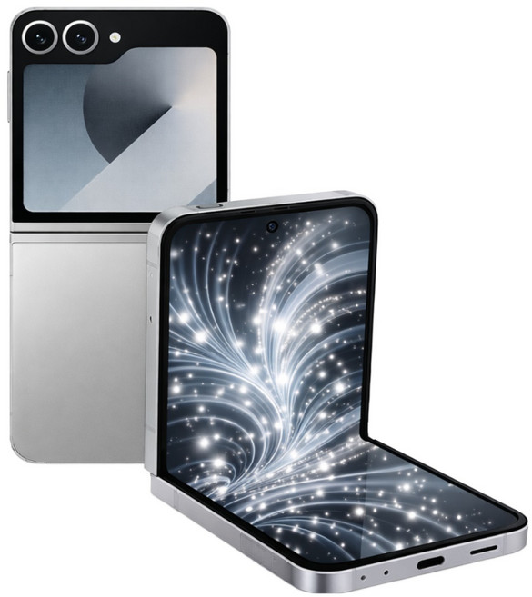 삼성전자 갤럭시 Z플립6 99% 새상품 모든옵션 2년보증A/S 자급제 공기계, 256GB, 실버 쉐도우 2년보증A/S