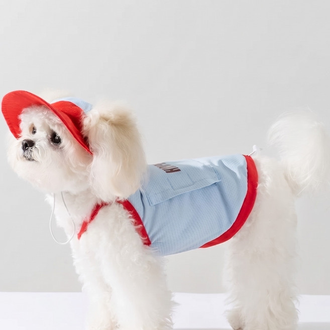 [폭염대비/1+1] 우리 아이 체온 뚝! 강아지 쿨링 조끼 하네스 & 썬캡 세트 (전용 아이스팩 포함), 1개, 하늘색