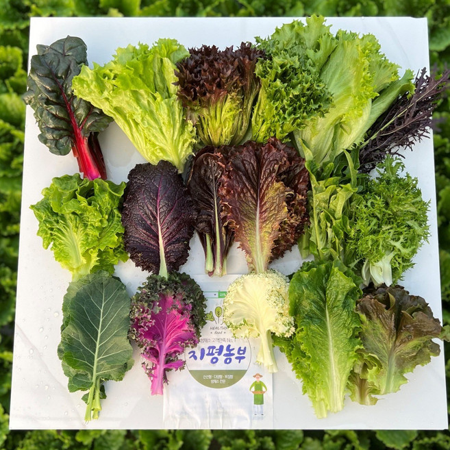 [GAP인증] 지평 농부 샐러드 모듬채소(1kg), 1개, 1kg, 샐러드모듬채소1kg