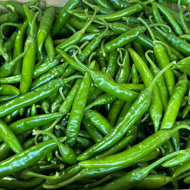 < 바른농산 > 국내산 햇 청양고추 매운고추 땡초 특품 (1kg 2kg 3kg 5kg 10kg), 1개, 특 1kg