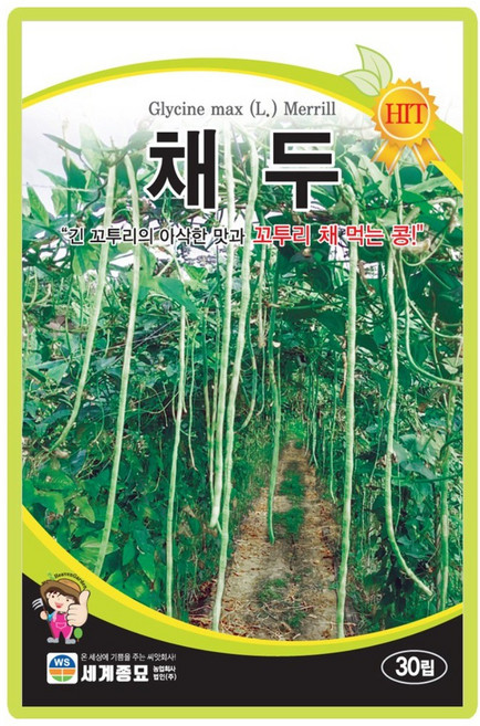 세계종묘 채두 씨앗 30립 조생종 채두 콩씨 종자, 2개