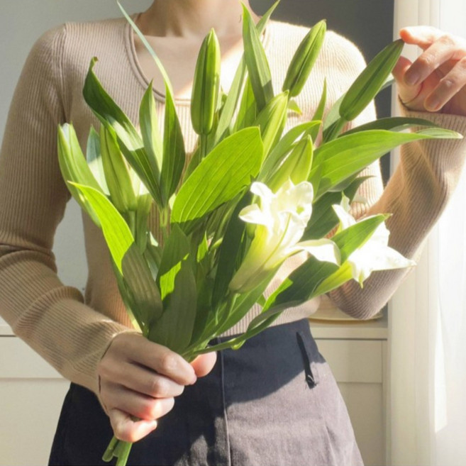 [정아네식탁] 백합 한다발 시베리아 쉐라 꽃다발 생화 백합꽃 택배 예약, 시베리아 흰색백합 3대 / 꽃만, 1개