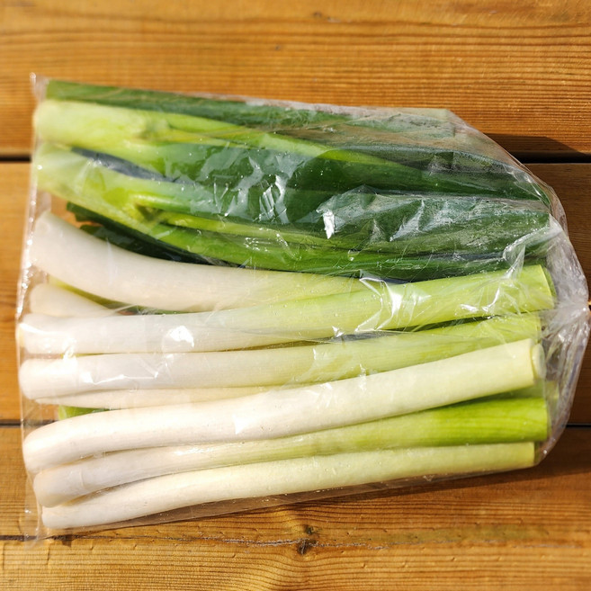 절단대파 출고당일절단 가정용 식자재용, 500g, 1개