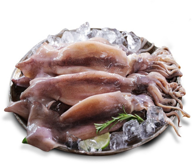 [자연산] 손질 통오징어 대사이즈, 10개, 175g