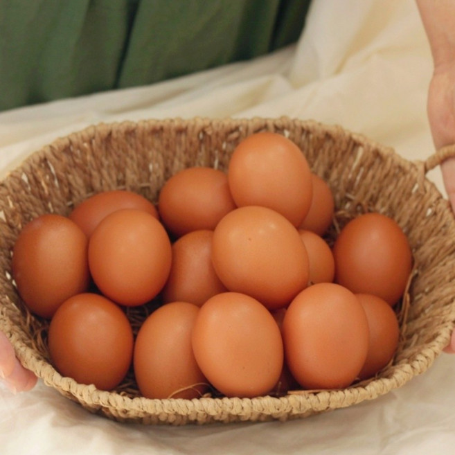 라니네농장 난각번호2번 당일산란 무항생제 라니네농장 너란나란 유정란, 1개, 30구