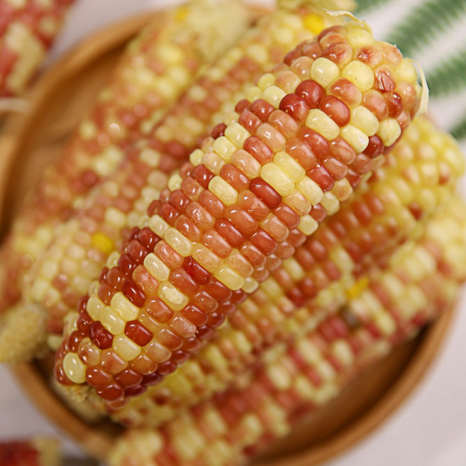 쫀득 탱글한 찰 옥수수 10개 (냉동), 1박스, 230g내외X10개