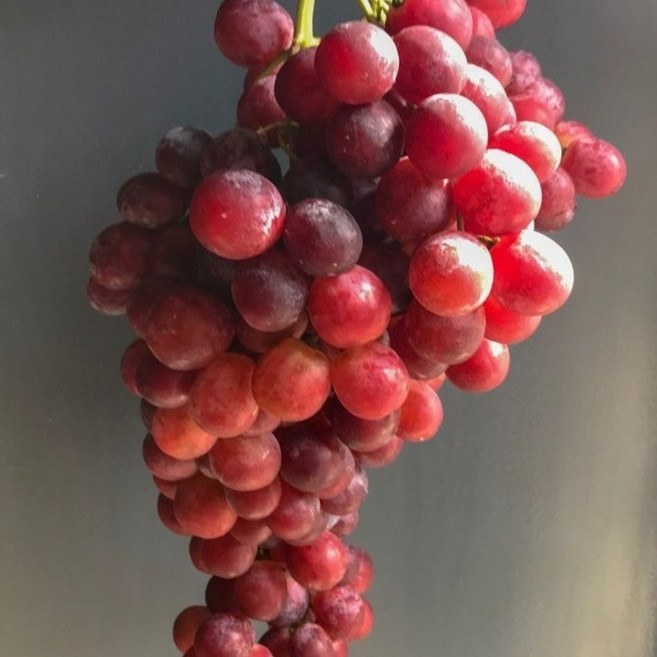 매출1등 산지직송 크림슨포도 고당도 특품, 1박스, 500g