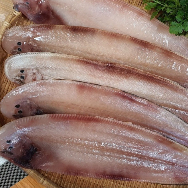 동해바다 해풍건조 서대(박대) 대방출(32~35cm), 4개, 4미