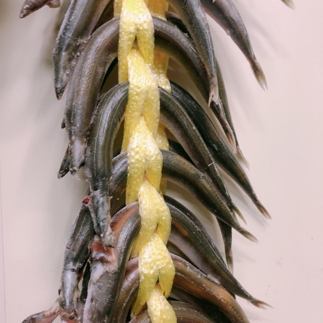 햇 반건조 양미리 1두릅20미 1kg, 1kg(20미)x1박스
