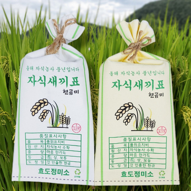 흥작가 쌀포대 용돈봉투 자식농사 풍년 생일 생신 설날 추석 어버이날 부모님 용돈이벤트, 새해복많이받으세요, 자식새끼표, 황색_벼모양 쌀포대, 1개