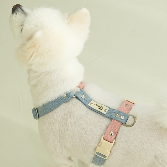 이름 무료 각인 앞섬방지 H형 강아지 하네스 기본형, 파스텔