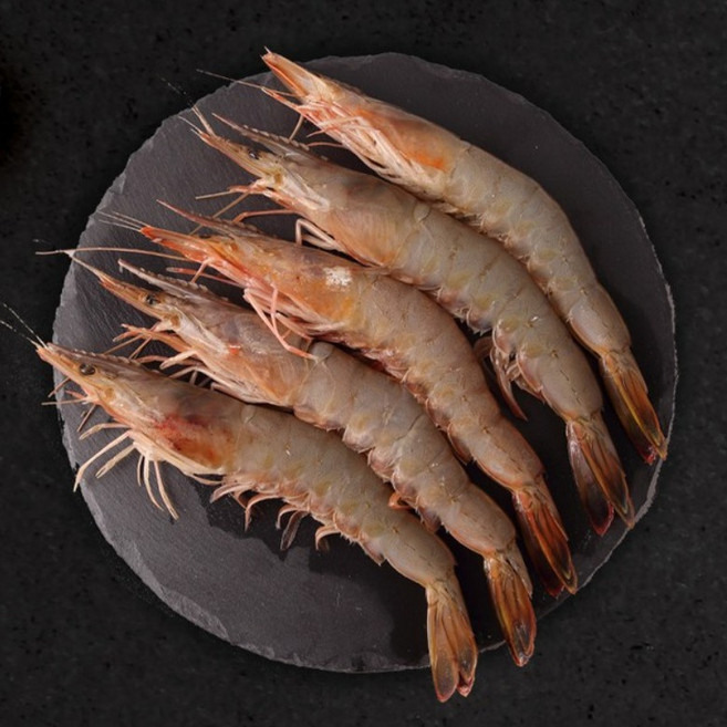 서해 연평도 자연산 암대하 왕새우, 1개, 자연산 암대하 (14~16미, 1kg) 왕사이즈