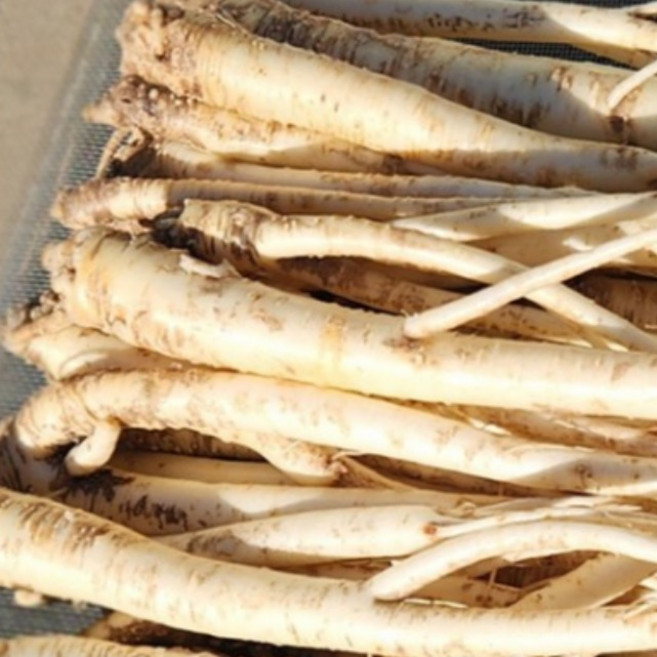 태산농장 안동 약 도라지 나물 도라지, 1박스, 세척 약 도라지 2kg