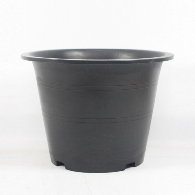 그린데이 국산 검정 플라스틱 화분 - 묘목화분 모종 포트 산세분 나무 블루베리분 가드닝 29호, 1개