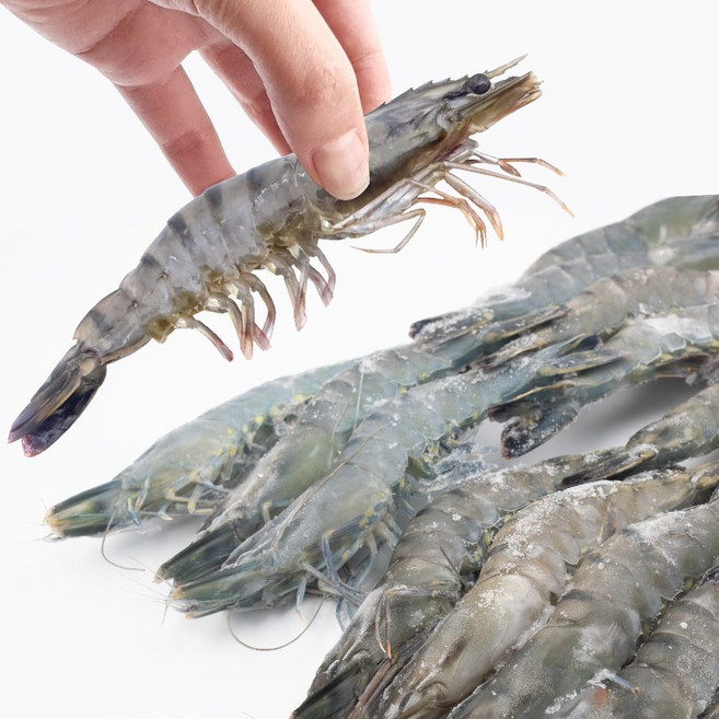 블랙타이거 새우 20미 500g 대하 중하 소금구이, [냉매무료]블랙타이거20미+드라이, 1박스