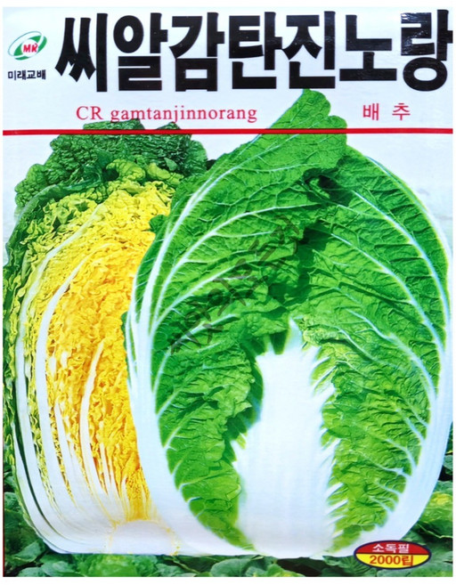 김장배추씨앗 CR감탄진노랑 2000립 가을배추 종자 무사마귀병 뿌리혹병내병계