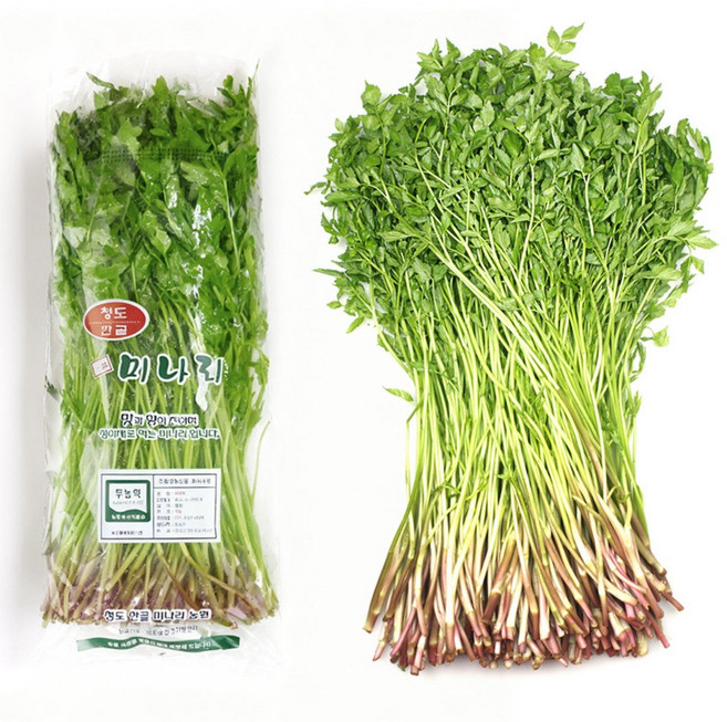 청도미나리 당일수확 무농약 한골 산지직송 향긋한 미나리 500g 1봉, 1개