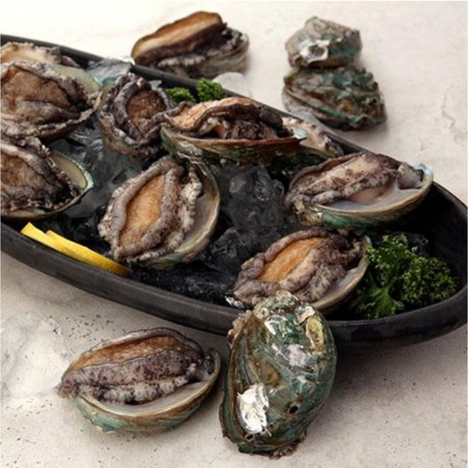 [오초록] 완도직송 완도 활 전복(대) 1kg(10~12미) / 해수 산소포장, 고급 보자기포장, 1개