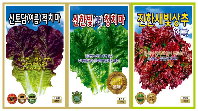 여름상추씨앗 3개 쌈채소 적상추 청상추 꽃상추 씨앗 씨 종자
