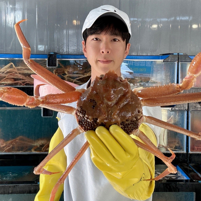 [산지직송](활대게 생물)프리미엄 대게 국산 영덕대게 포항 구룡포 울진 제철, 1박스, 국산대게 [대] 10~11cm 3마리