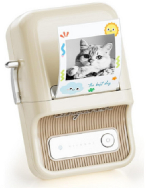 Niimbot B21포토(Pro) 듀얼컬러 라벨프린터, 1개, B21포토 그린 +사각화이트50x80