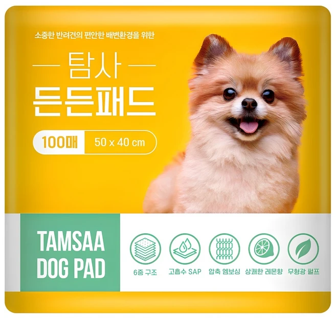 탐사 고흡수 든든패드 레몬향, 100개입, 1개 - 쿠팡