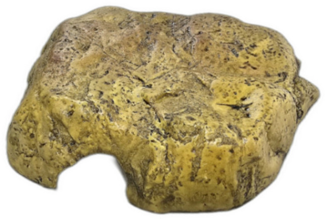 하겐 파충류 은신처 소, 1개