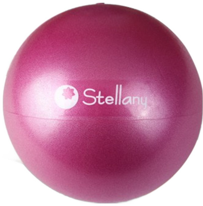 스텔라니 바레 필라테스 미니볼 전문가용, 20cm 핑크