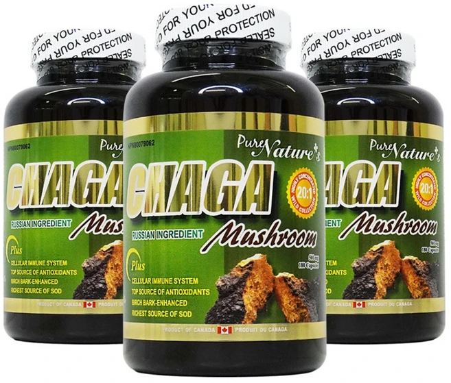 3병 PNC 러시아산 차가버섯 분말 추출 20배 500mg 180, 180정, 3개 - 쿠팡
