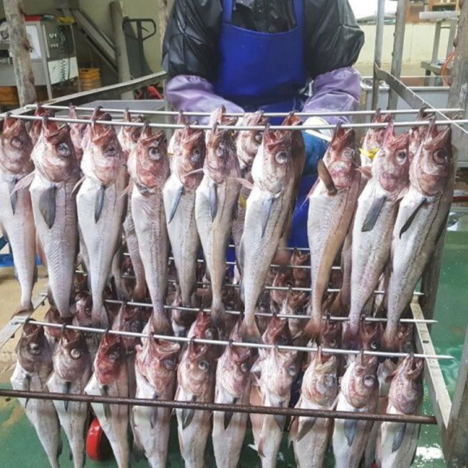 강원도 고성 말린 코다리, 1개, 코다리소 4미 (35-40cm), 소