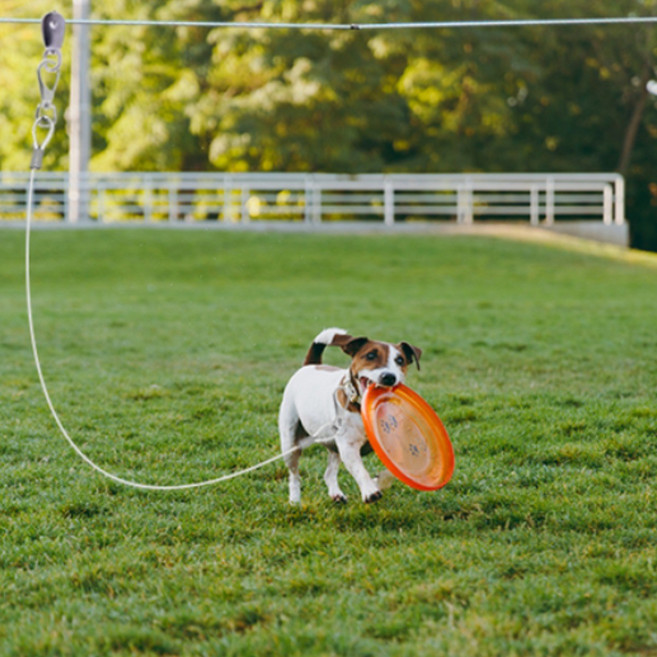 굿나잇몰 강아지 리드줄 이동식 와이어줄 반려견 목줄 산책줄 방수 3mm 3M 스텐 와이어 10M 세트, 1.투명 코팅 와이어 4mm(중형), 10M세트 3.2mm, 1개