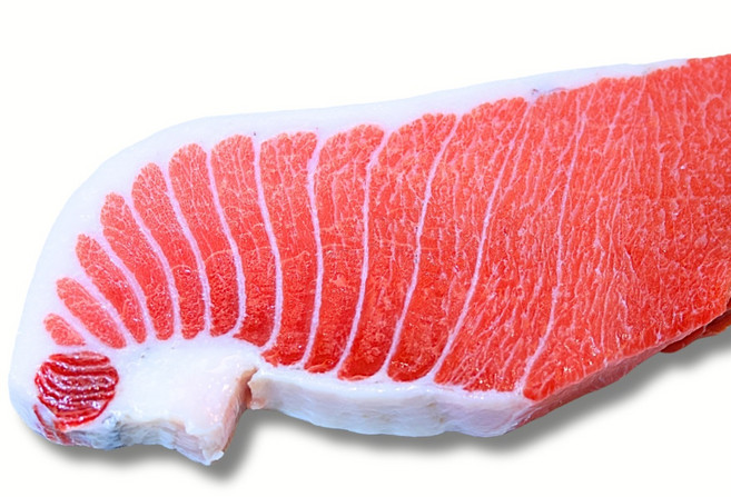 [VIP참치] 참다랑어 1번뱃살 호텔 참치회, 1개, 800g