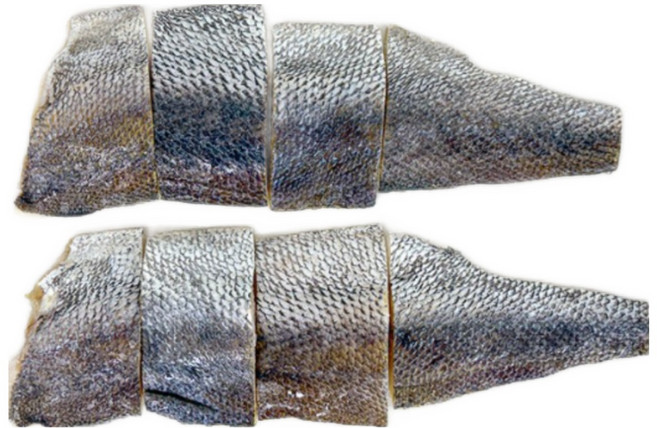 농가살리기 전남 여수 손질 대민어, 1개, 900g (탕/찜/구이용)