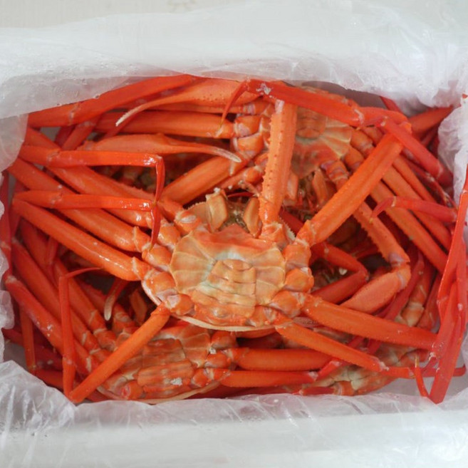 구룡포 연지홍게 박달 붉은대게 게 3kg, 1박스, 가성비 연지홍게3kg